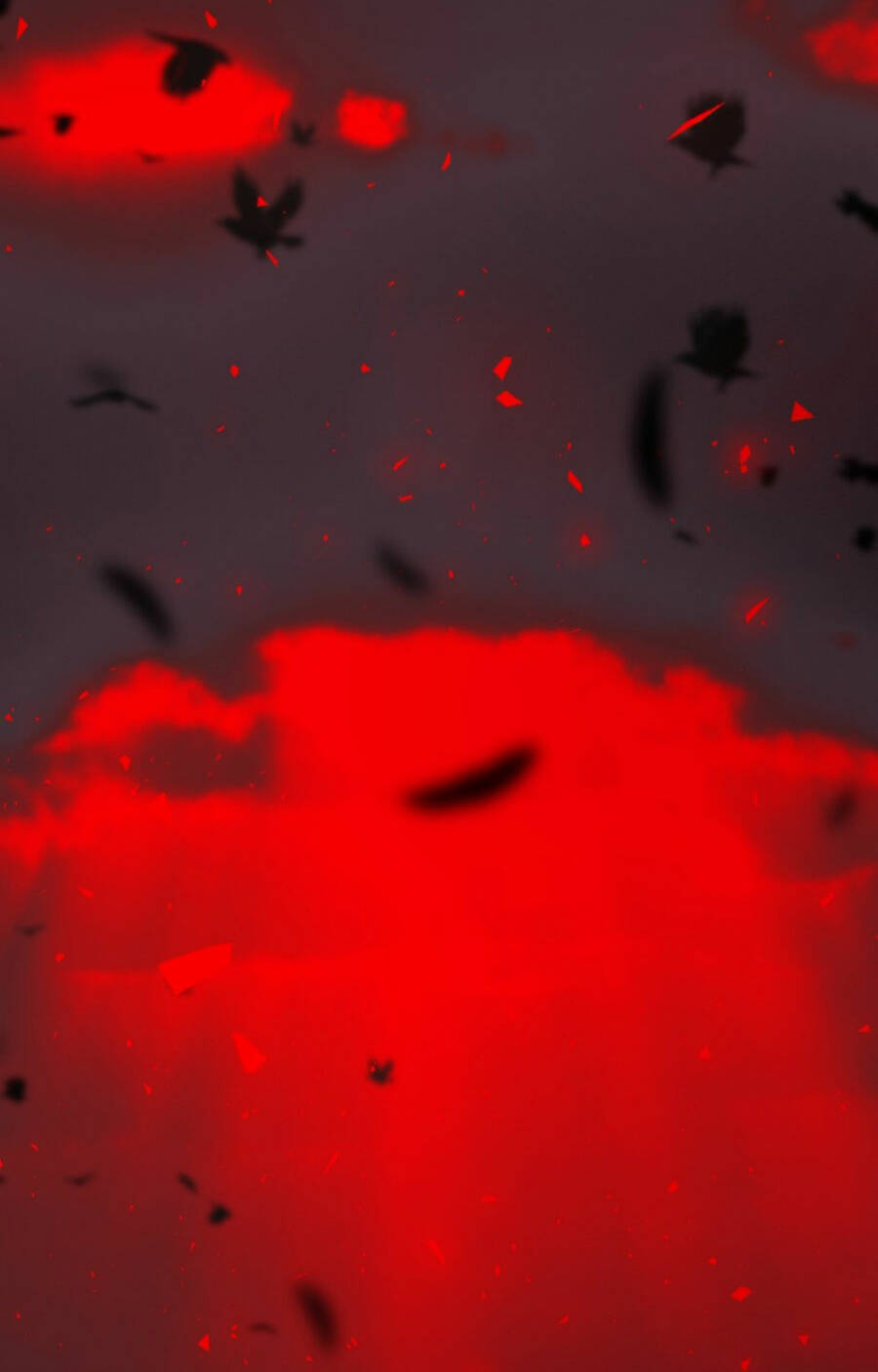 Tử Thần Chapter 78 - Trang 2