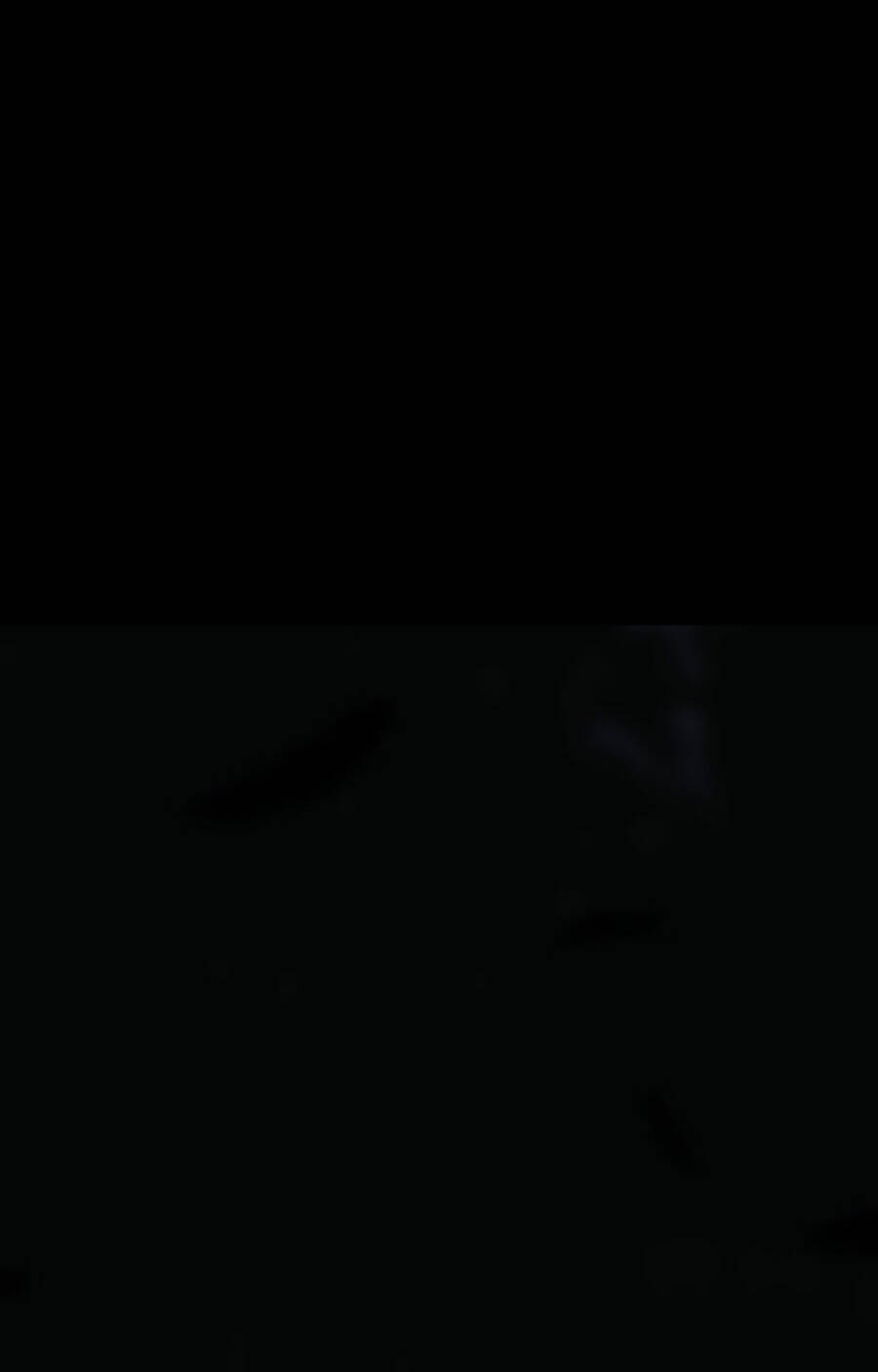 Tử Thần Chapter 78 - Trang 2