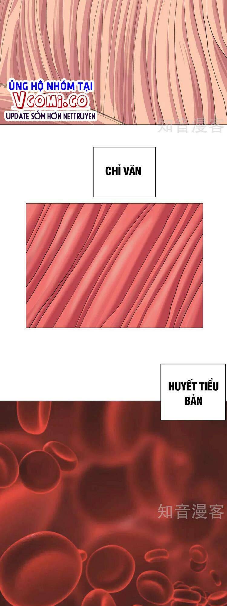 Tu Tiên Giả Đại Chiến Siêu Năng Lực Chapter 181 - Trang 2