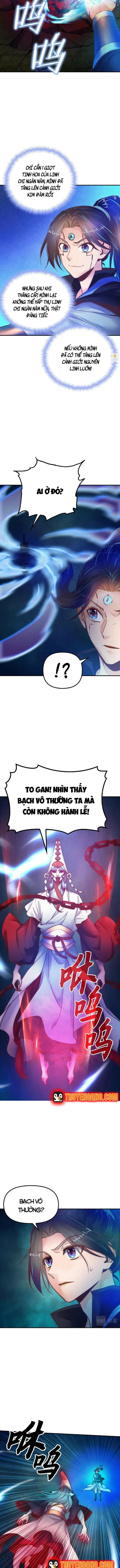 Tu Tiên Hoàn Sinh Ký: Từ Thiếu Tộc Trưởng Chế Bá Dị Giơi Chapter 16 - Trang 2