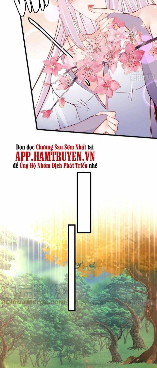Tu Tiên Phải Dựa Vào Sugar Mommy Chapter 104 - Trang 2