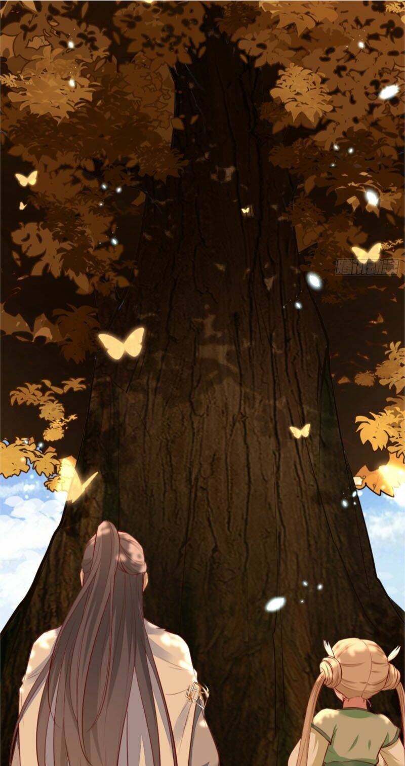 Tu Tiên Phải Dựa Vào Sugar Mommy Chapter 3 - Trang 2