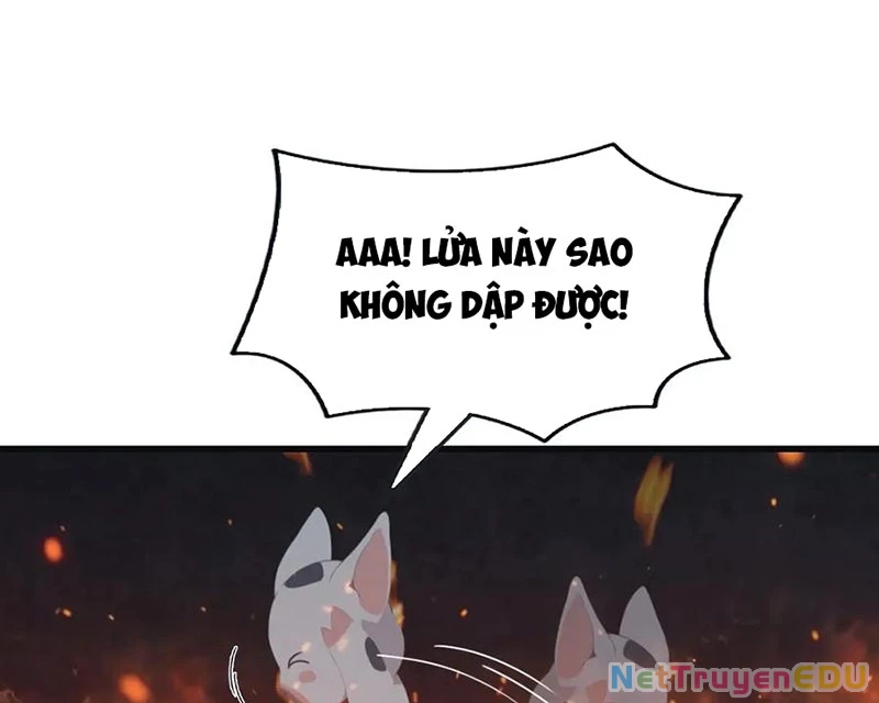 Tu Tiên Trở Về Tại Vườn Trường – Phần 2 Chapter 104 - Trang 2