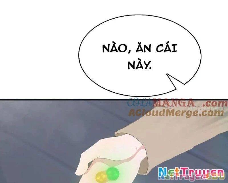 Tu Tiên Trở Về Tại Vườn Trường – Phần 2 Chapter 110 - Trang 2