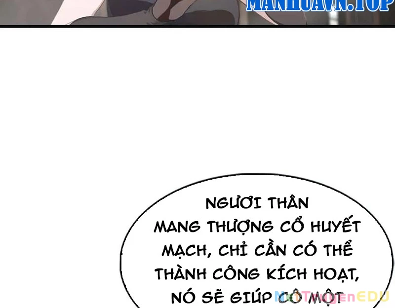 Tu Tiên Trở Về Tại Vườn Trường – Phần 2 Chapter 114 - Trang 2