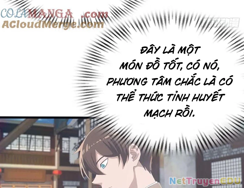 Tu Tiên Trở Về Tại Vườn Trường – Phần 2 Chapter 118 - Trang 2