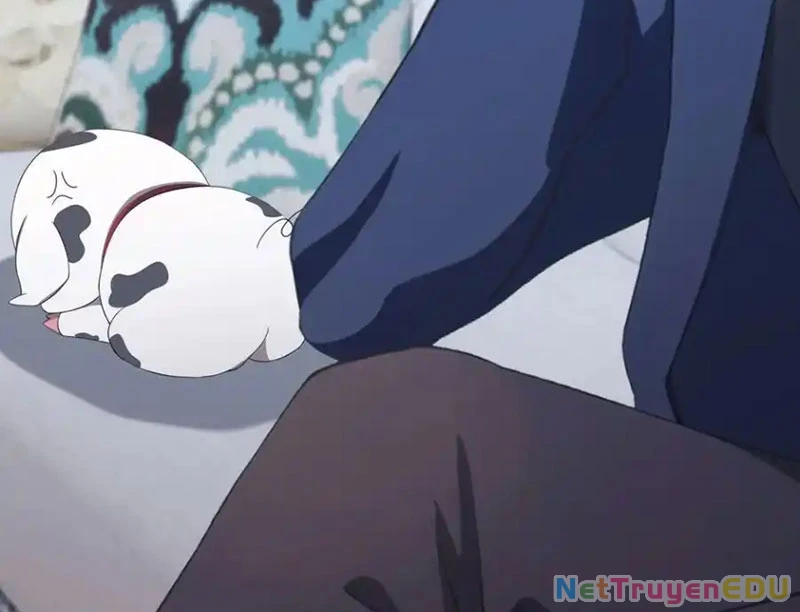 Tu Tiên Trở Về Tại Vườn Trường – Phần 2 Chapter 48 - Trang 2