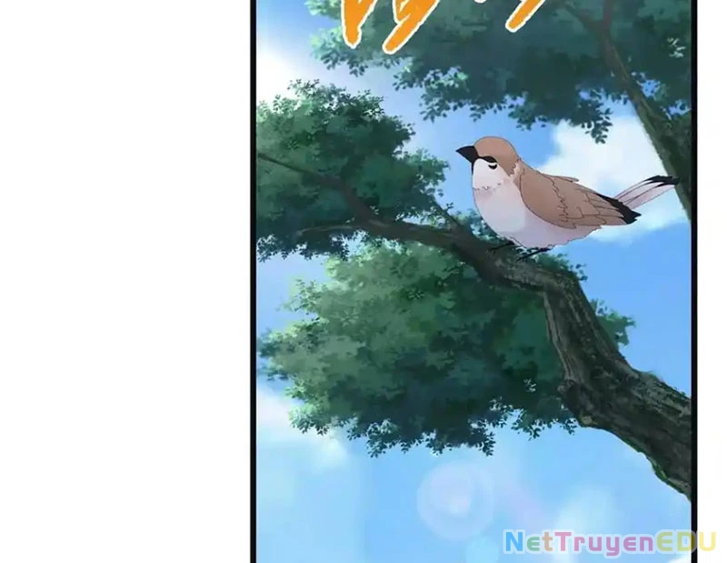 Tu Tiên Trở Về Tại Vườn Trường – Phần 2 Chapter 48 - Trang 2