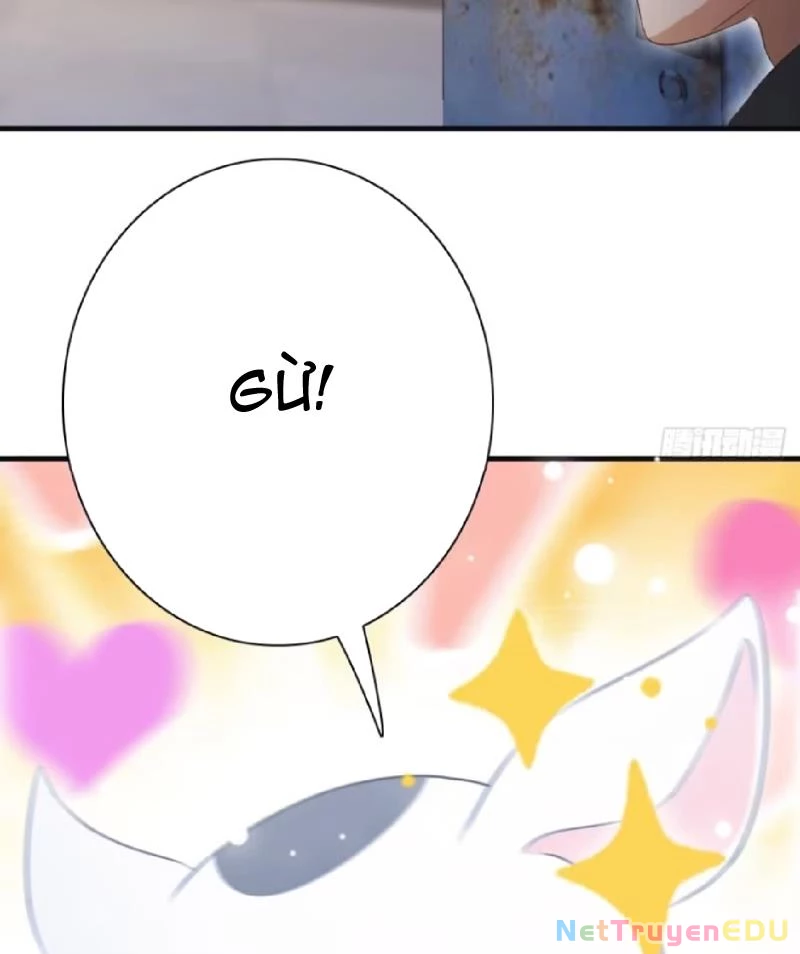 Tu Tiên Trở Về Tại Vườn Trường – Phần 2 Chapter 61 - Trang 2