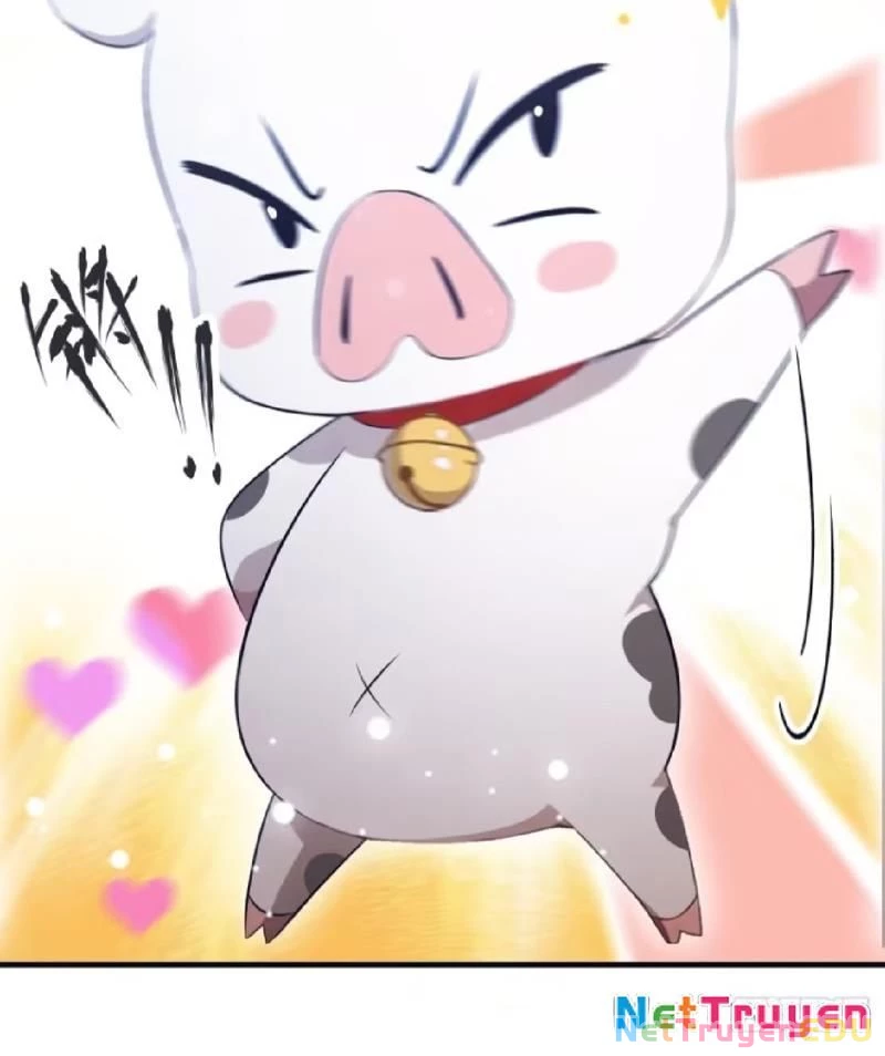 Tu Tiên Trở Về Tại Vườn Trường – Phần 2 Chapter 61 - Trang 2