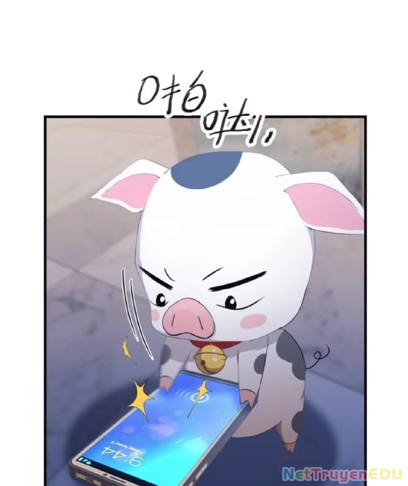 Tu Tiên Trở Về Tại Vườn Trường – Phần 2 Chapter 61 - Trang 2