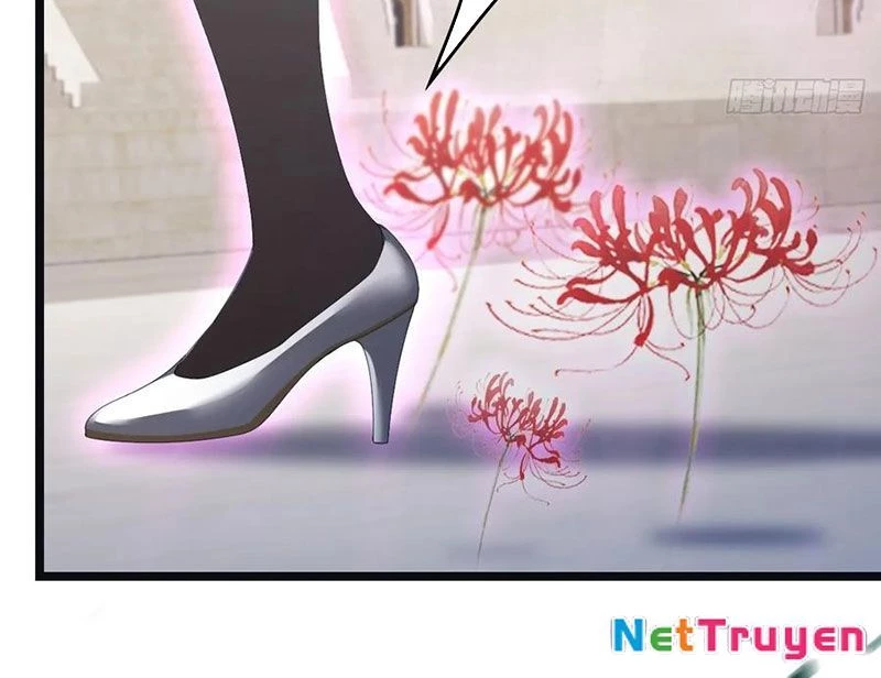 Tu Tiên Trở Về Tại Vườn Trường – Phần 2 Chapter 65 - Trang 2