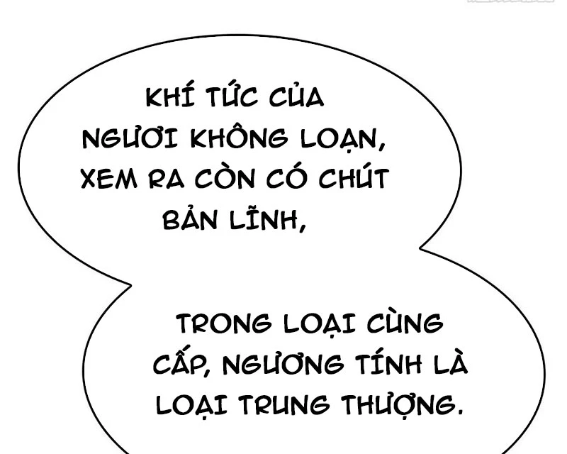 Tu Tiên Trở Về Tại Vườn Trường – Phần 2 Chapter 70 - Trang 2