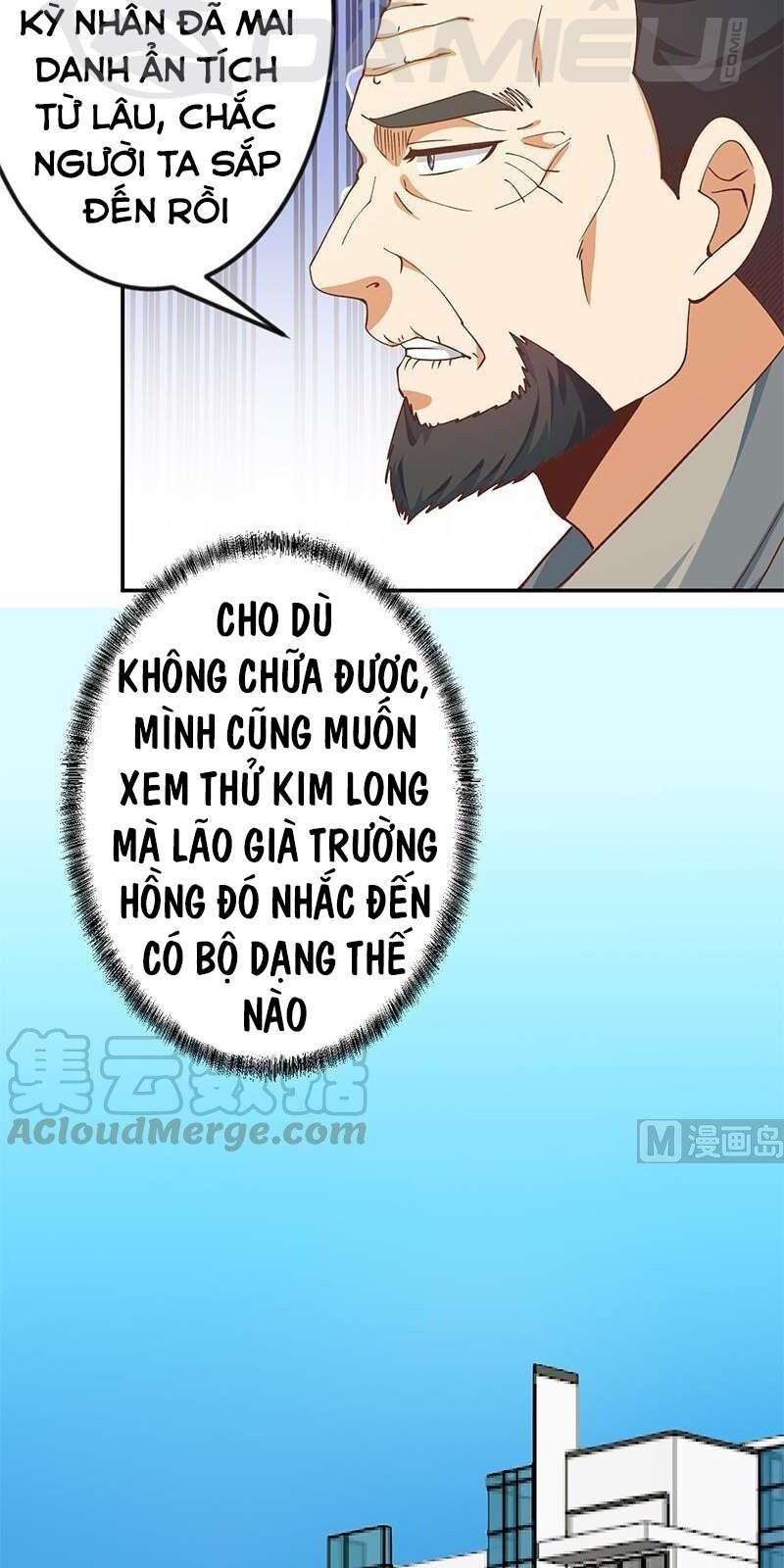 Tu Tiên Trở Về Tại Vườn Trường Chapter 138 - Trang 2