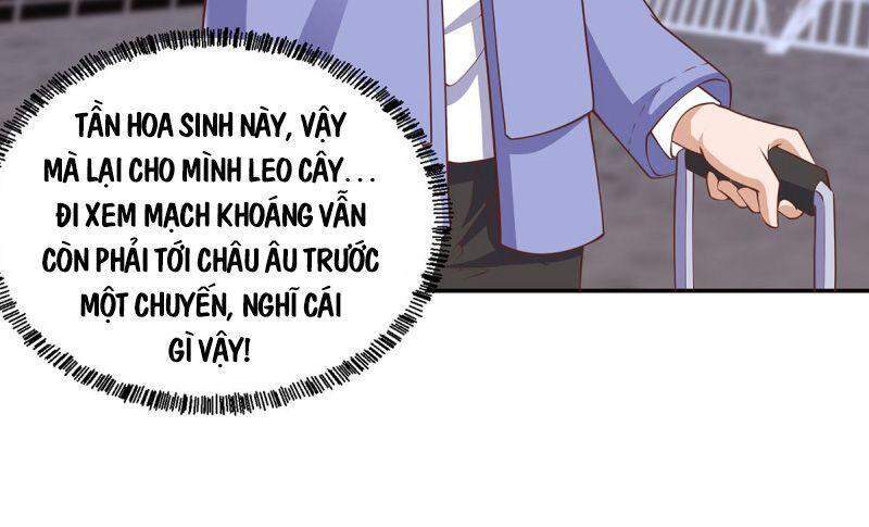 Tu Tiên Trở Về Tại Vườn Trường Chapter 247 - Trang 2