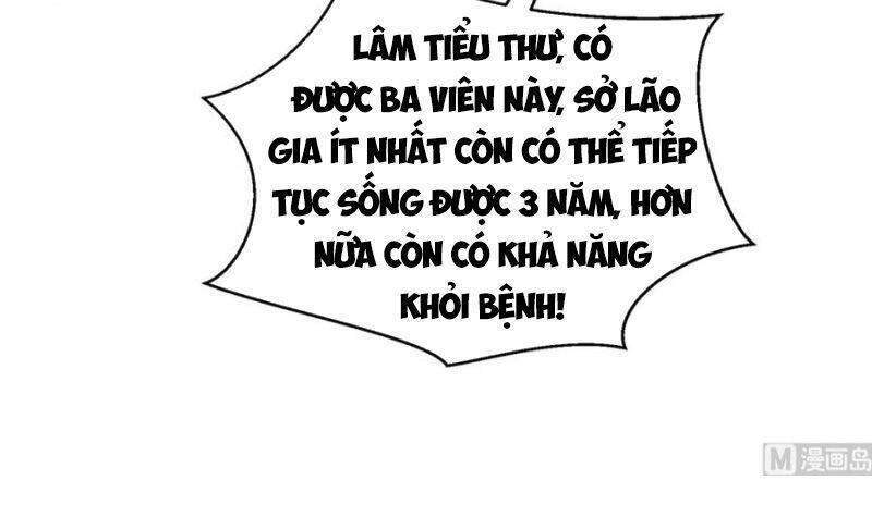 Tu Tiên Trở Về Tại Vườn Trường Chapter 269 - Trang 2