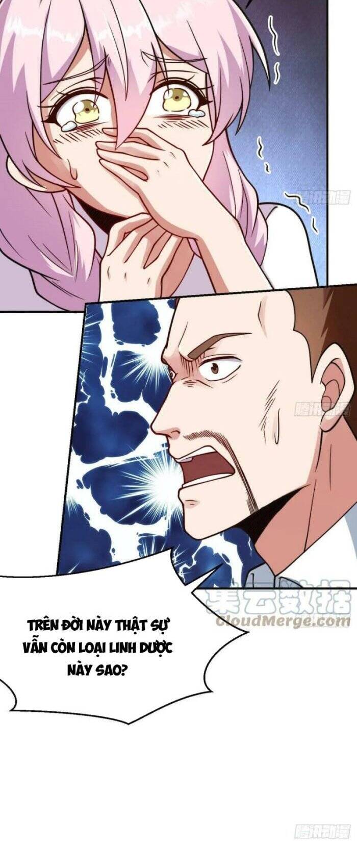 Tu Tiên Trở Về Tại Vườn Trường Chapter 430 - Trang 2