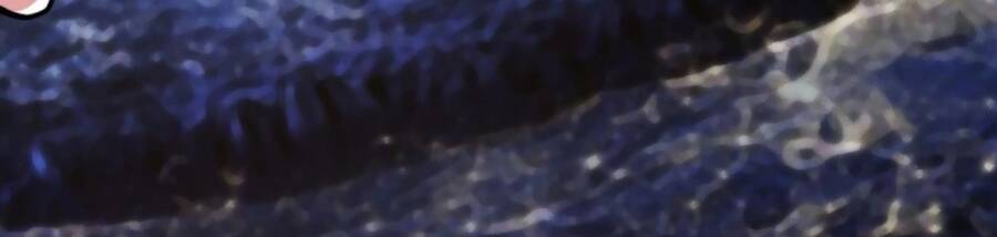 Tu Tiên Trở Về Tại Vườn Trường Chapter 439 - Trang 2