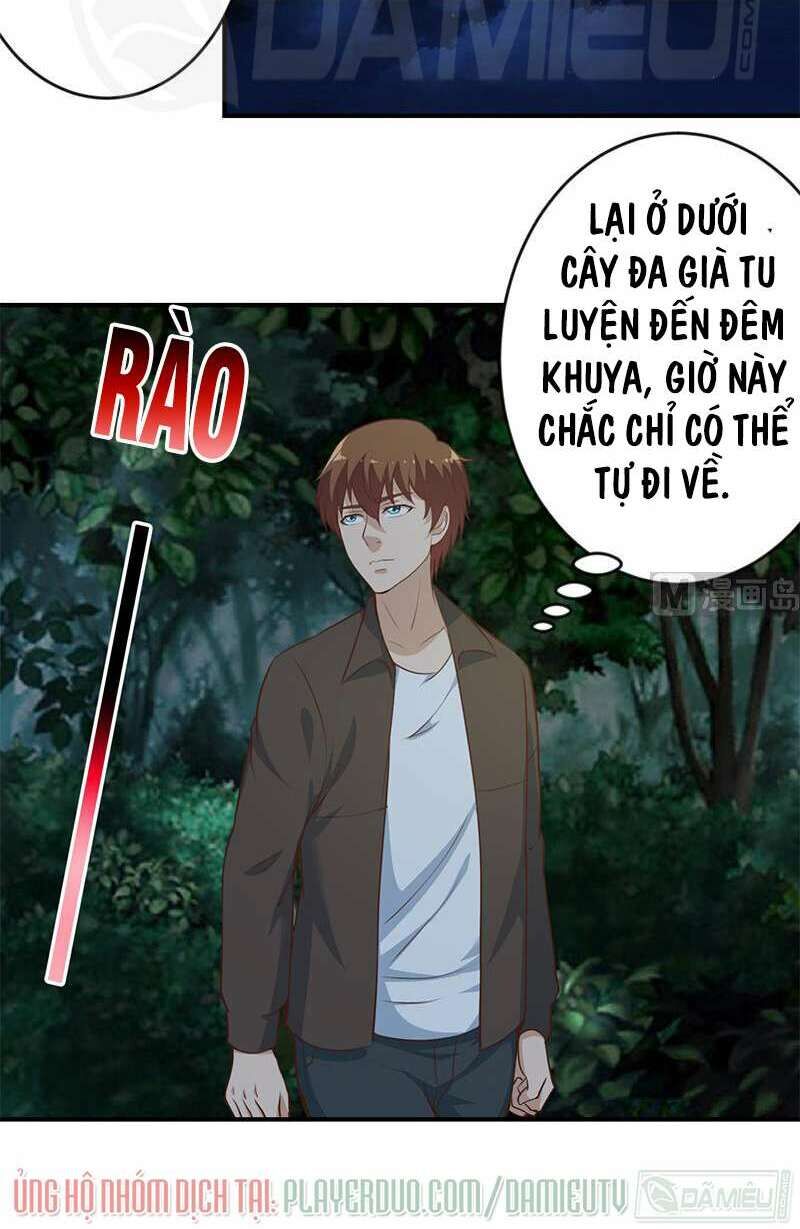 Tu Tiên Trở Về Tại Vườn Trường Chapter 66 - Trang 2