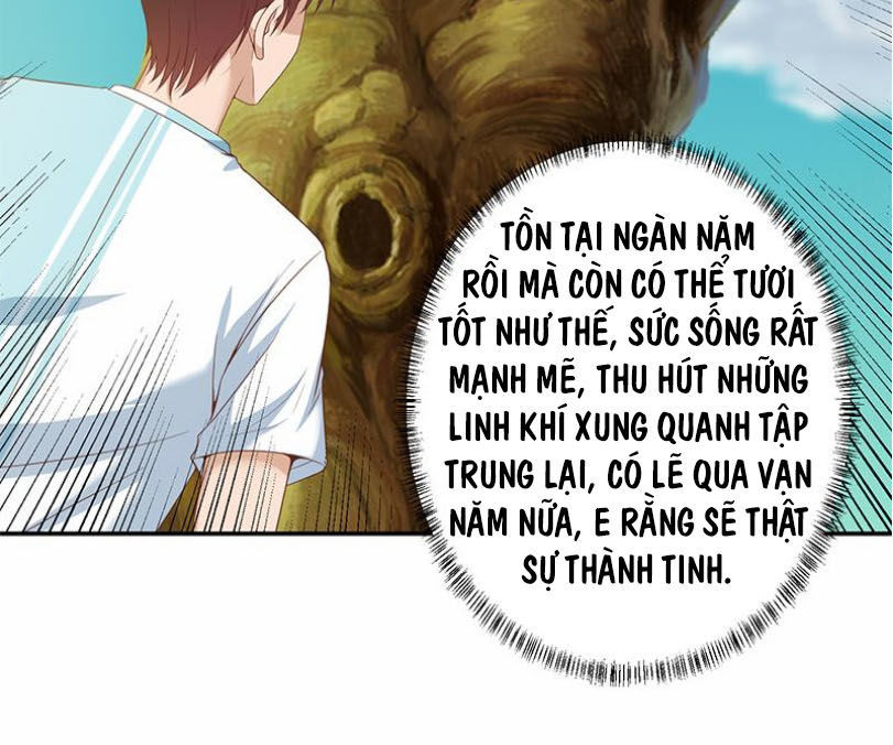 Tu Tiên Trở Về Vườn Trường Chapter 11 - Trang 2