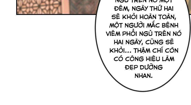 Tu Tiên Trở Về Vườn Trường Chapter 215 - Trang 2