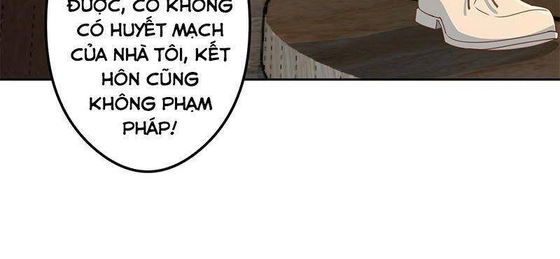 Tu Tiên Trở Về Vườn Trường Chapter 216 - Trang 2