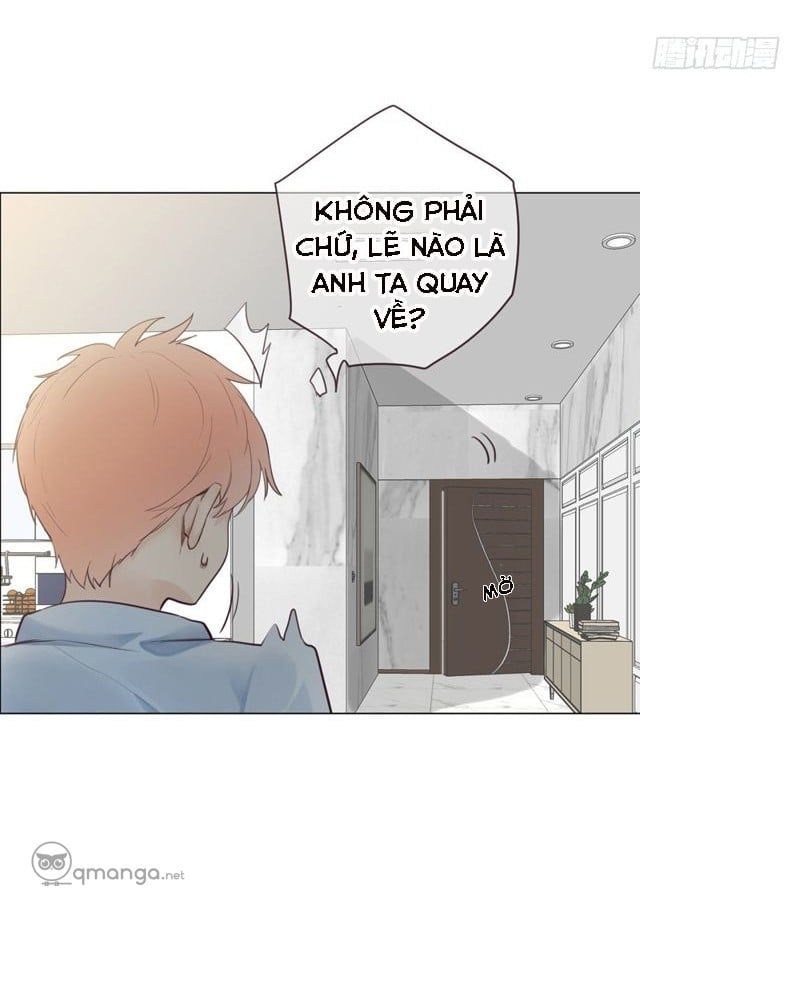 Tương Nhu Dịch Mộc Chapter 10 - Trang 2