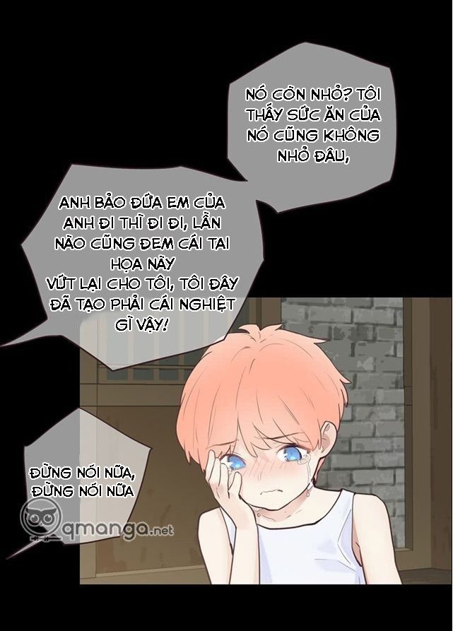 Tương Nhu Dịch Mộc Chapter 12 - Trang 2