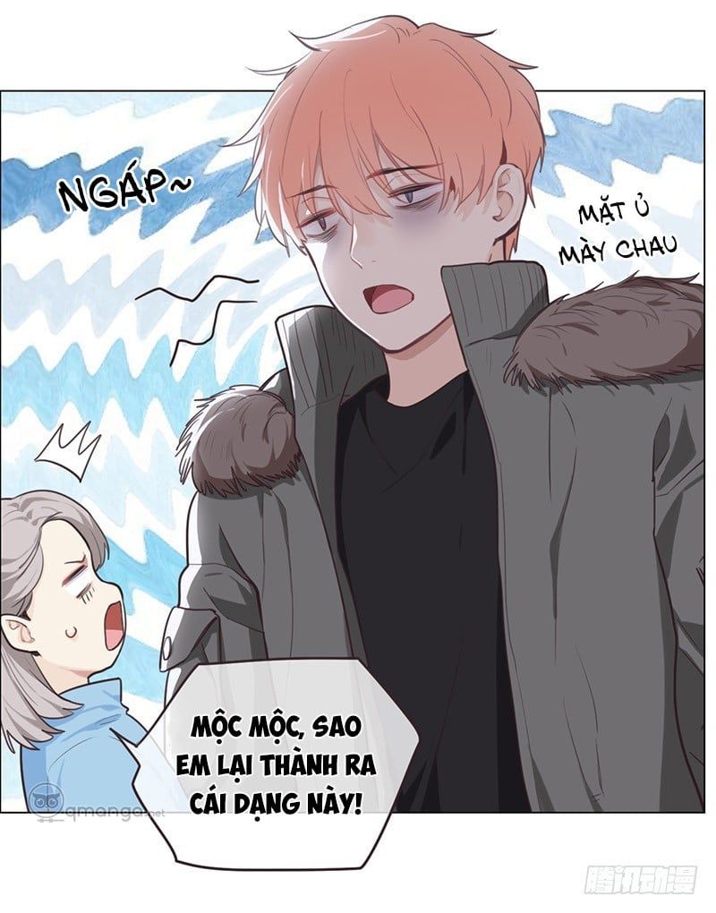 Tương Nhu Dịch Mộc Chapter 20 - Trang 2