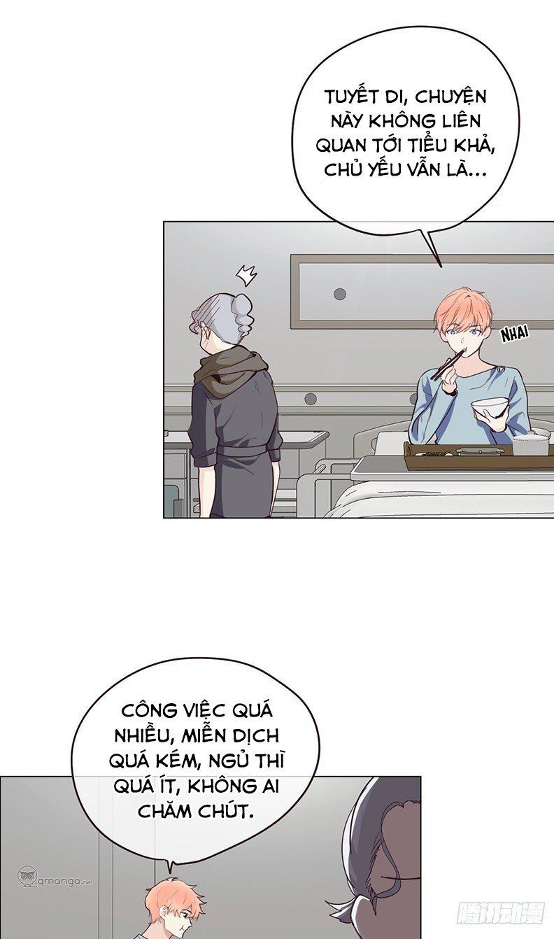 Tương Nhu Dịch Mộc Chapter 23 - Trang 2