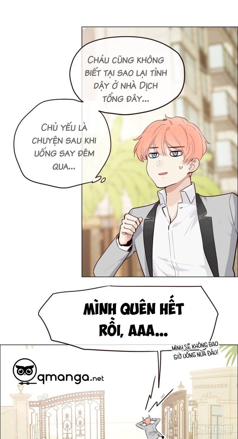 Tương Nhu Dịch Mộc Chapter 29 - Trang 2