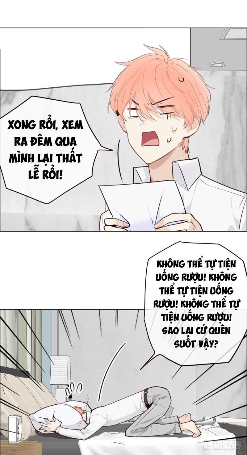 Tương Nhu Dịch Mộc Chapter 29 - Trang 2