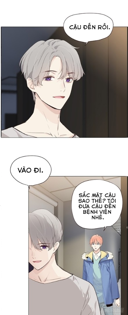 Tương Nhu Dịch Mộc Chapter 33 - Trang 2