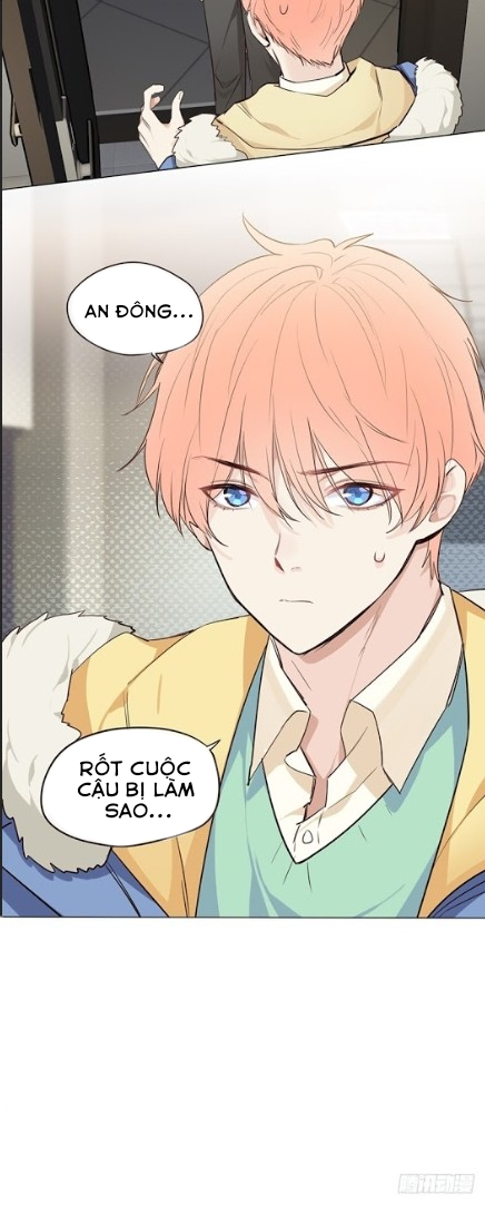Tương Nhu Dịch Mộc Chapter 33 - Trang 2