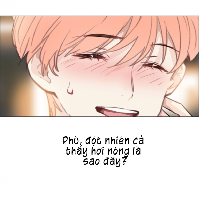Tương Nhu Dịch Mộc Chapter 36 - Trang 2
