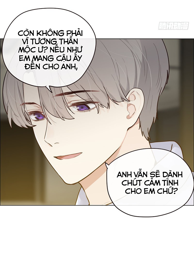Tương Nhu Dịch Mộc Chapter 43 - Trang 2