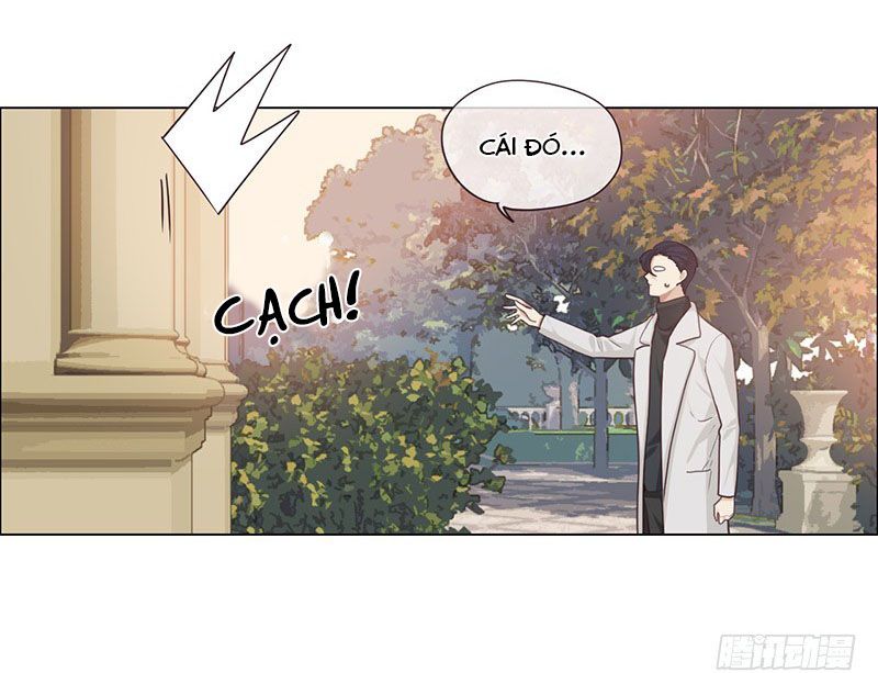 Tương Nhu Dịch Mộc Chapter 46 - Trang 2