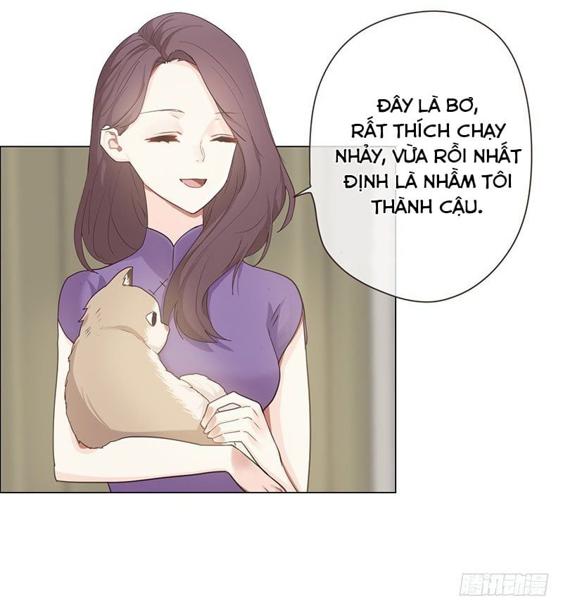 Tương Nhu Dịch Mộc Chapter 48 - Trang 2