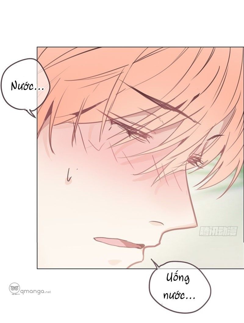 Tương Nhu Dịch Mộc Chapter 8 - Trang 2