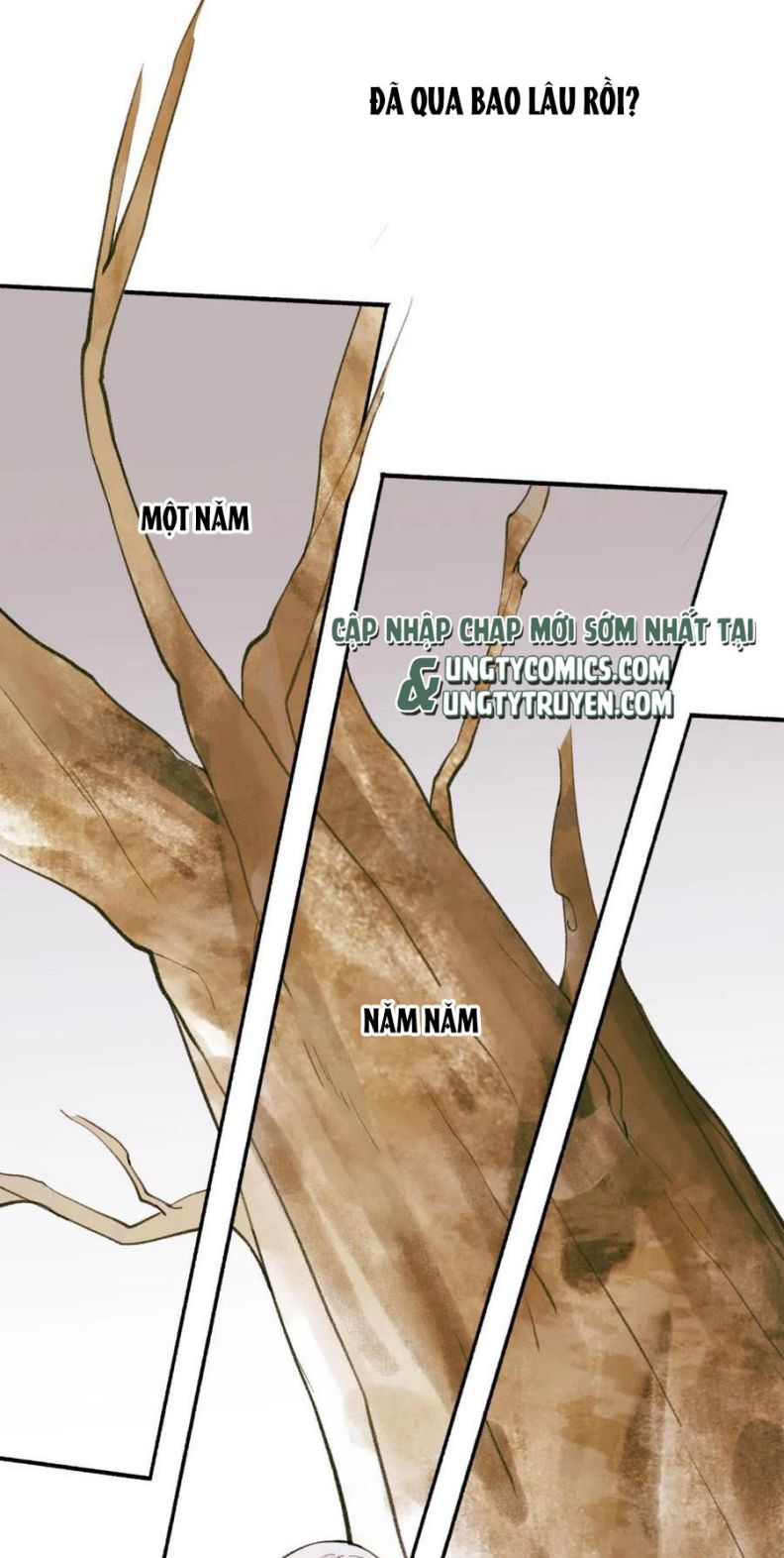 Tướng Quân, Cẩn Thận Chó Dữ Chapter 29 - Trang 2