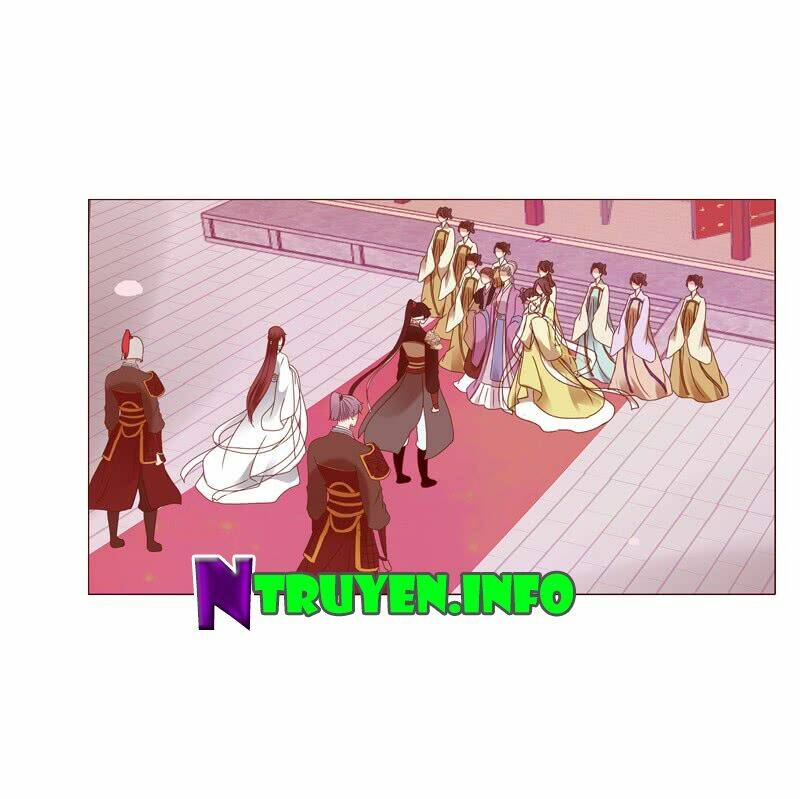 Tướng Quân Mời Ra Trận Chapter 16 - Trang 2