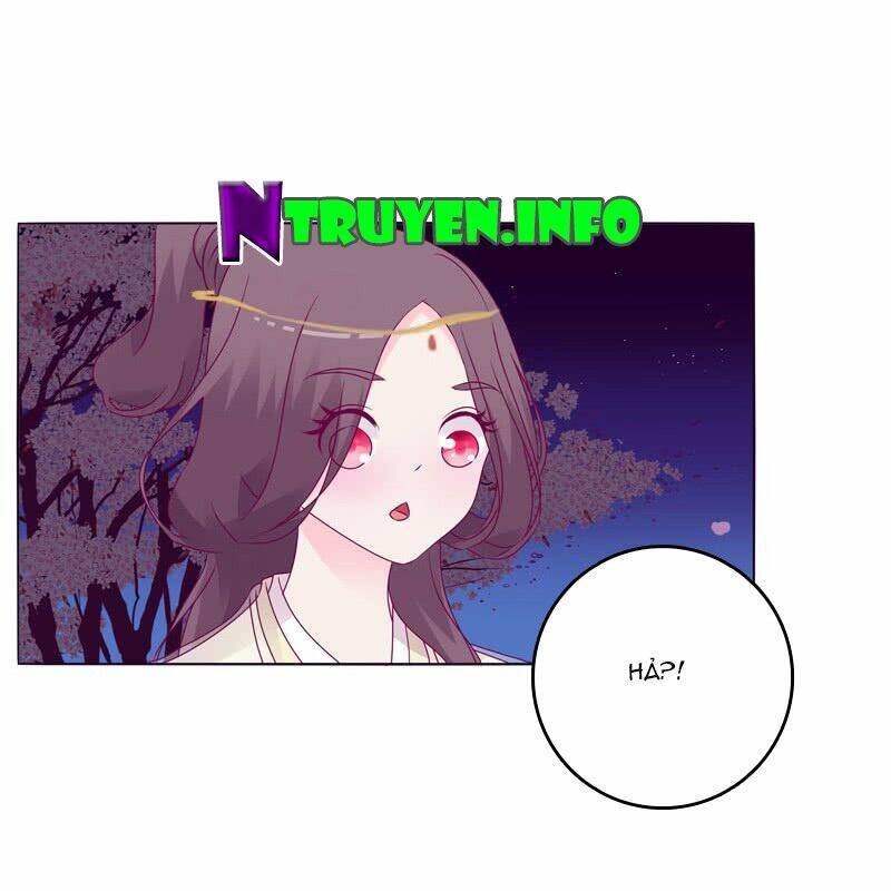 Tướng Quân Mời Ra Trận Chapter 19 - Trang 2