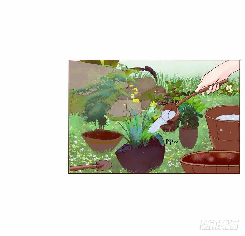 Tướng Quân Mời Ra Trận Chapter 2 - Trang 2