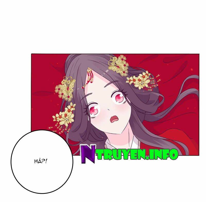 Tướng Quân Mời Ra Trận Chapter 5 - Trang 2