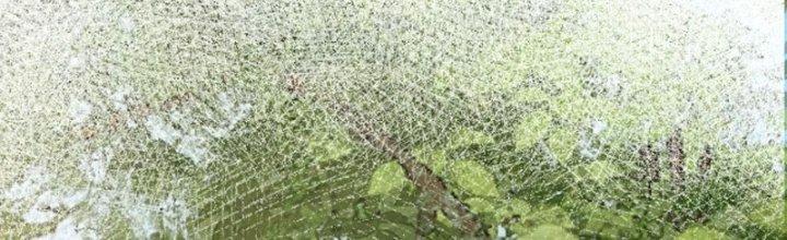 Tùy Tùng Của Nữ Phản Diện Chapter 54 - Trang 2