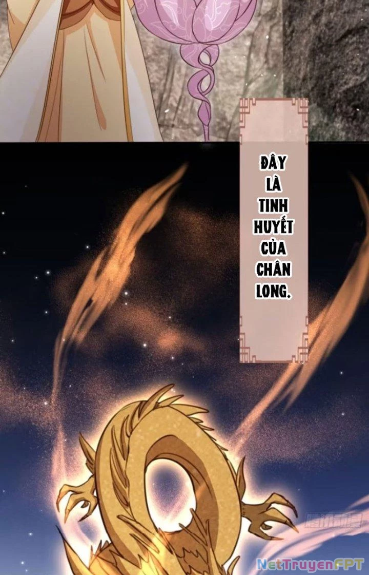 Tùy Tùng Của Nữ Phản Diện Chapter 73 - Trang 2