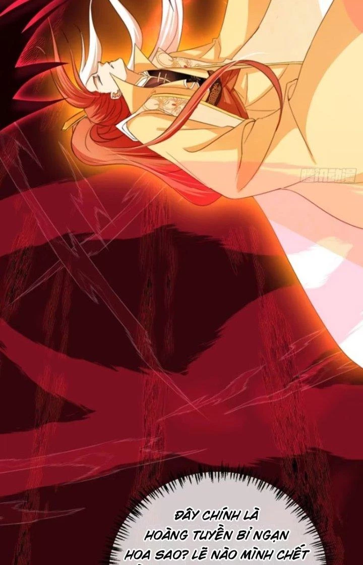 Tùy Tùng Của Nữ Phản Diện Chapter 74 - Trang 2