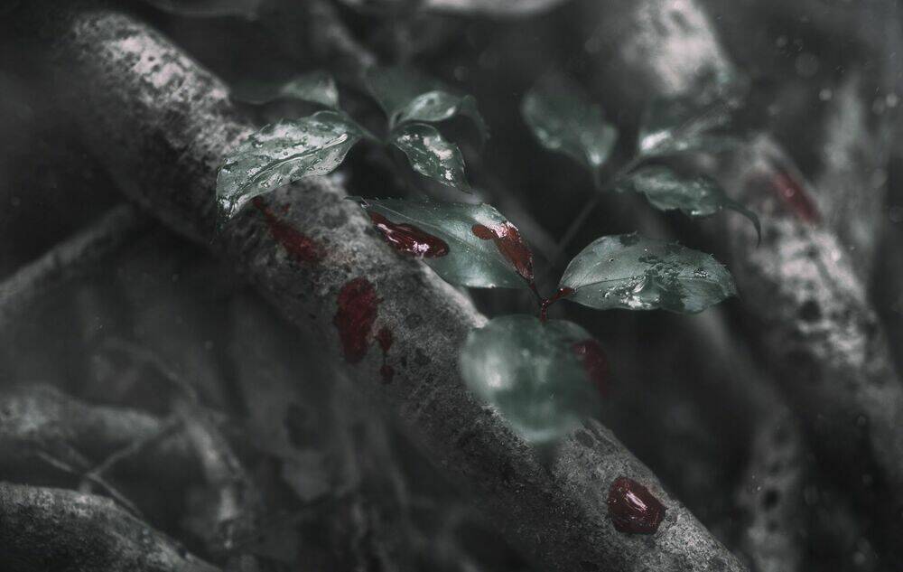 Tuyển Tập Cosplay Chapter 225 - Trang 2