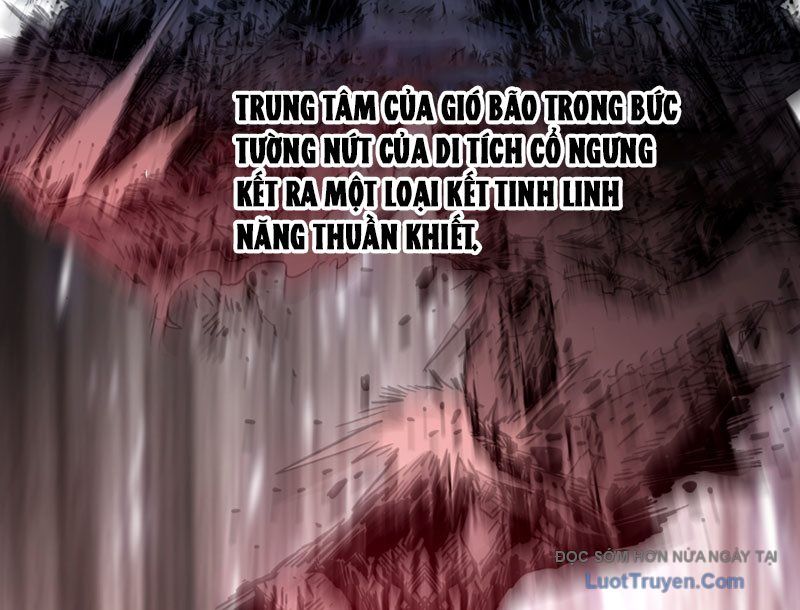 Tuyệt Đối Đừng Gây Sự Với Đại Sư Huynh Chapter 2 - Trang 2