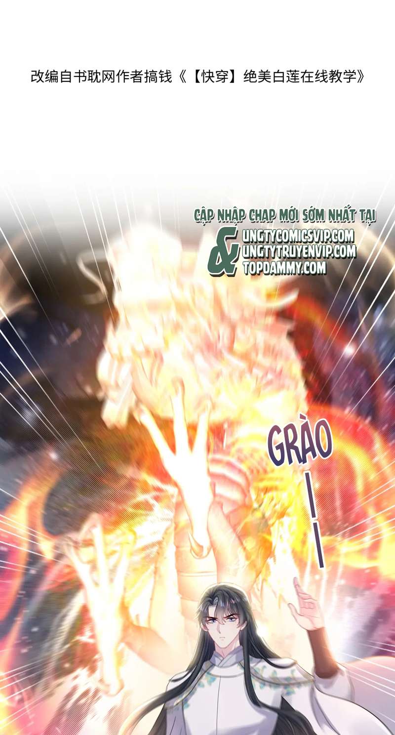 Tuyệt Mỹ Bạch Liên Online Dạy Học Chapter 182 - Trang 2